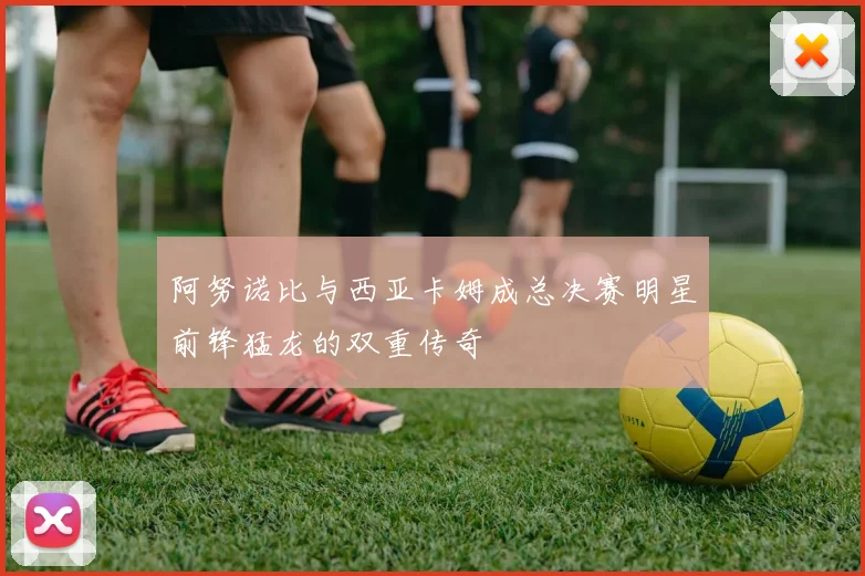 阿努诺比与西亚卡姆成总决赛明星前锋猛龙的双重传奇