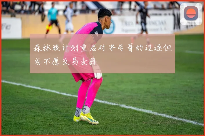森林狼计划重启对字母哥的追逐但或不愿交易麦丹