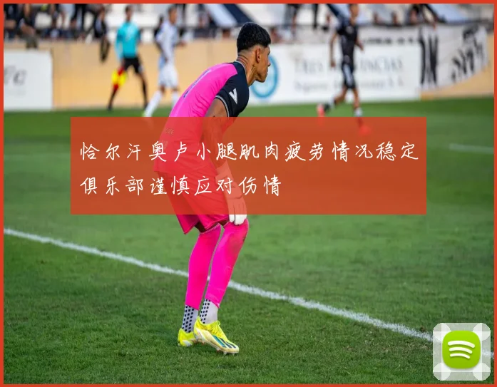恰尔汗奥卢小腿肌肉疲劳情况稳定俱乐部谨慎应对伤情