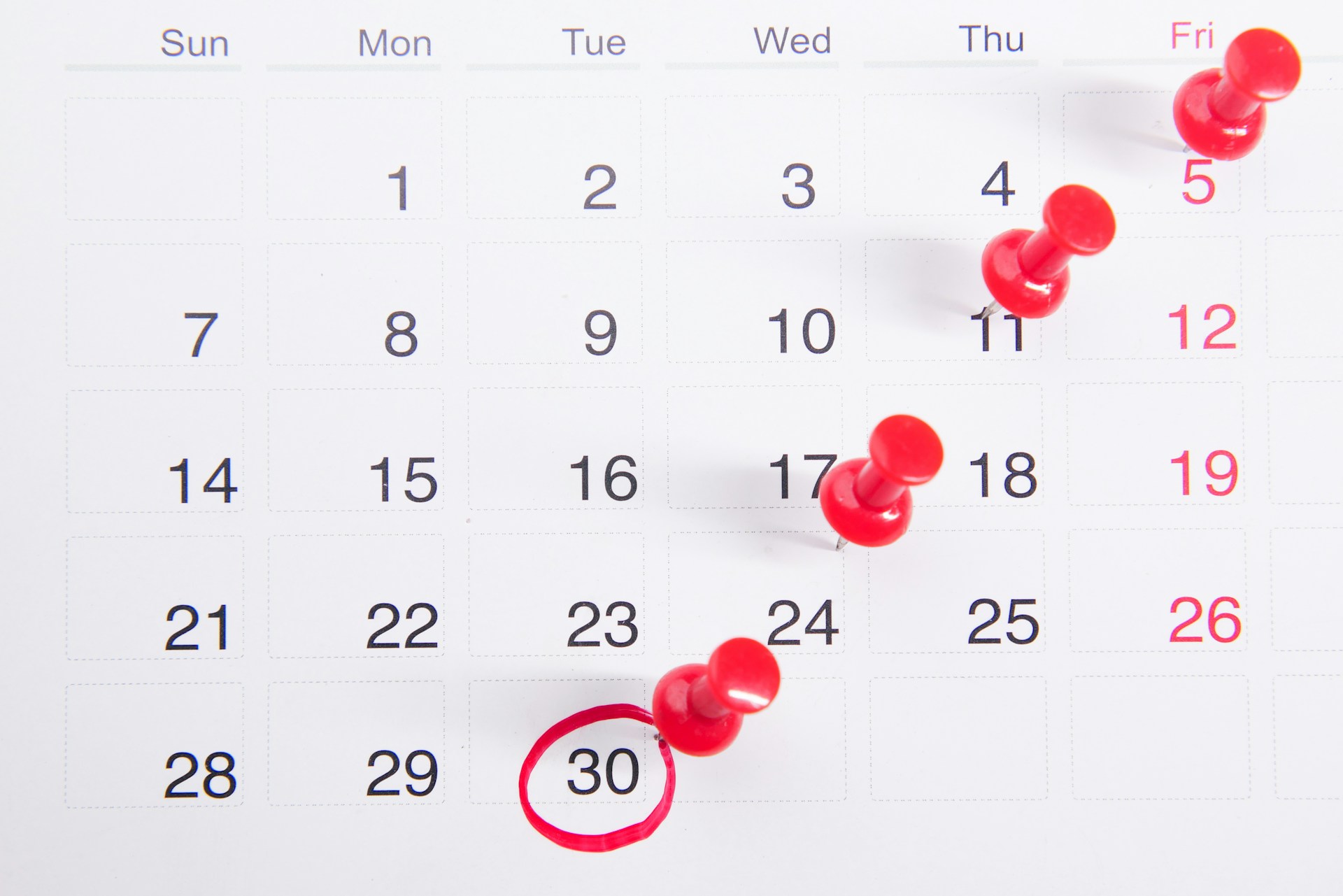 project calendar